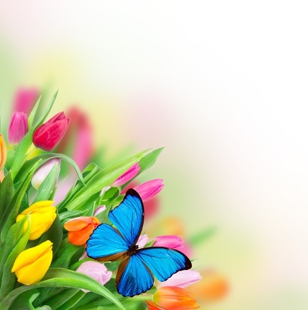 spring-flowers